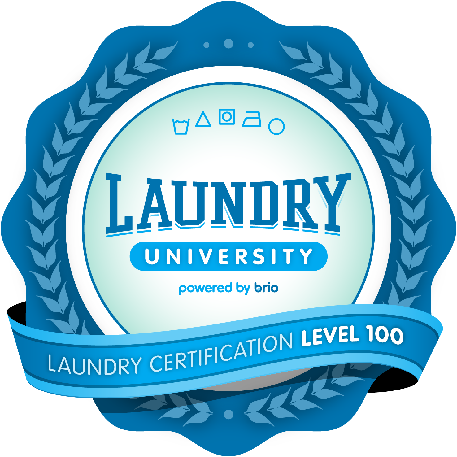 Laundry Certification 100