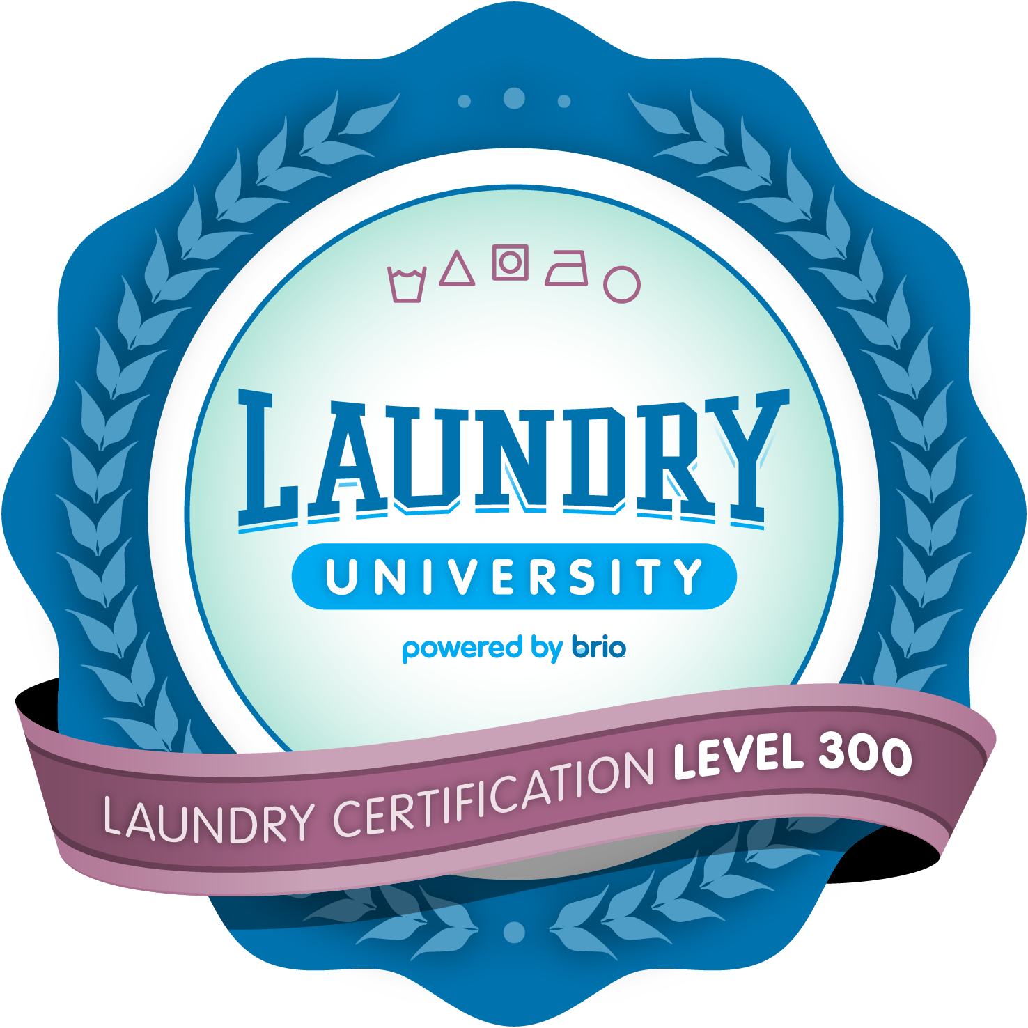 Laundry Certification 300