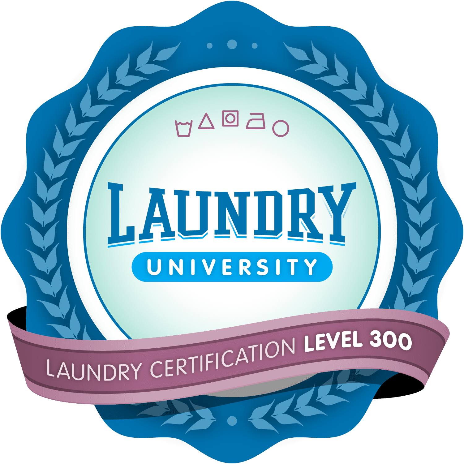 Laundry Certification 300